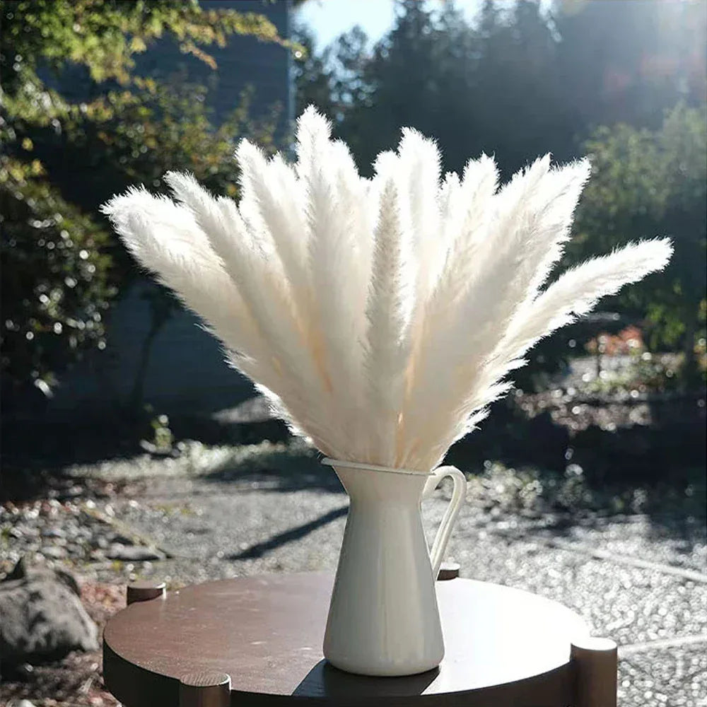 Pampas Grass Phragmites Reed Dried Natural Flowers Bouquet Arrangement Wedding Party Decor Decorations For Home Table - Luvia