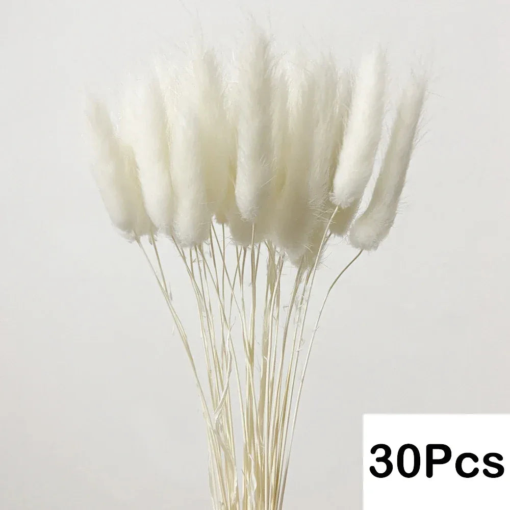 Pampas Grass Phragmites Reed Dried Natural Flowers Bouquet Arrangement Wedding Party Decor Decorations For Home Table - Luvia