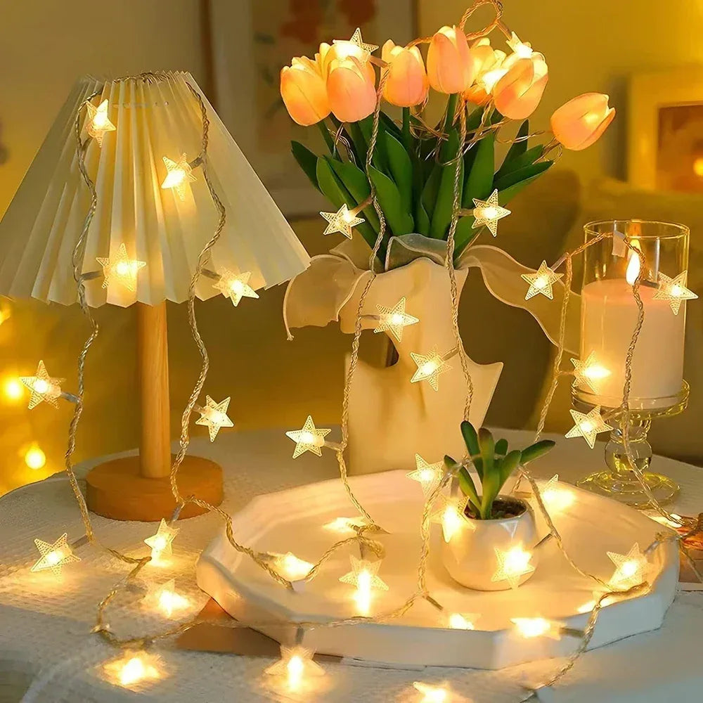 Ultimate Party Host Bundle - Celebration Essentials - Luvia