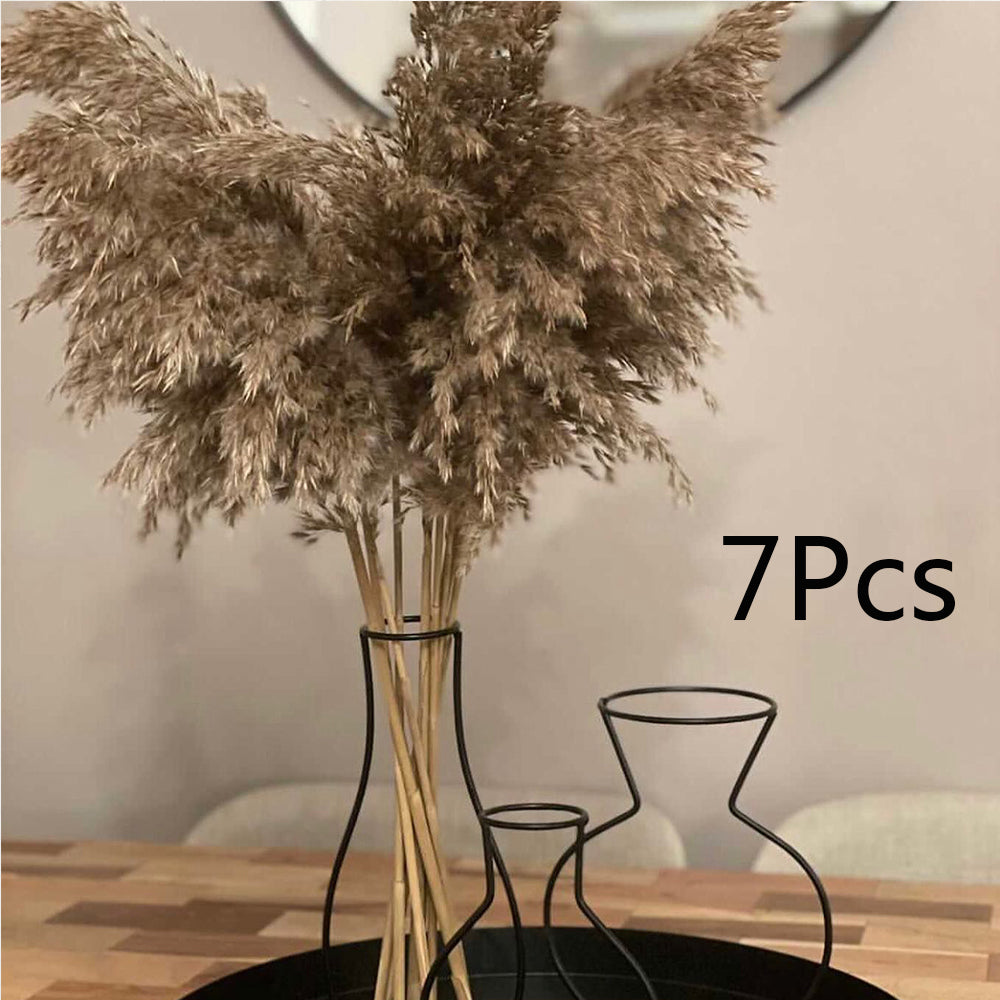 Pampas Grass Phragmites Reed Dried Natural Flowers Bouquet Arrangement Wedding Party Decor Decorations For Home Table