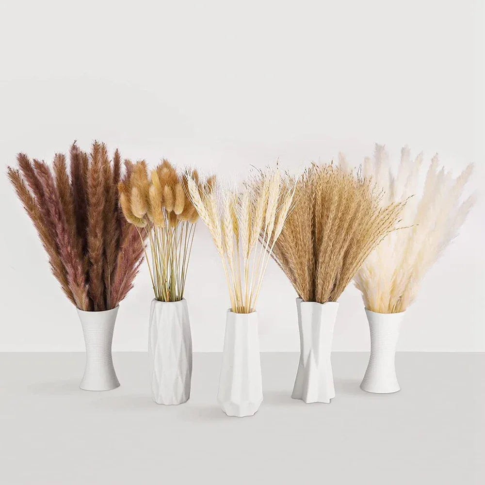 Pampas Grass Phragmites Reed Dried Natural Flowers Bouquet Arrangement Wedding Party Decor Decorations For Home Table - Luvia