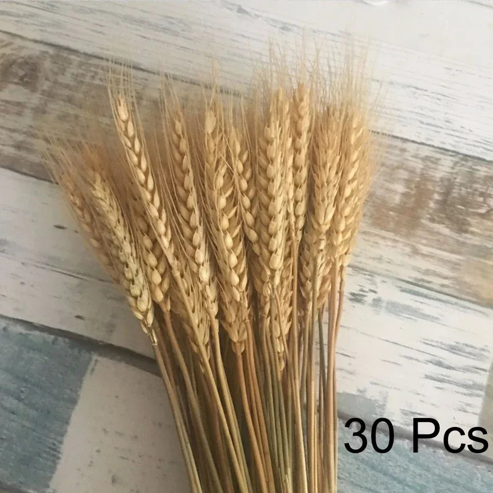 Pampas Grass Phragmites Reed Dried Natural Flowers Bouquet Arrangement Wedding Party Decor Decorations For Home Table - Luvia