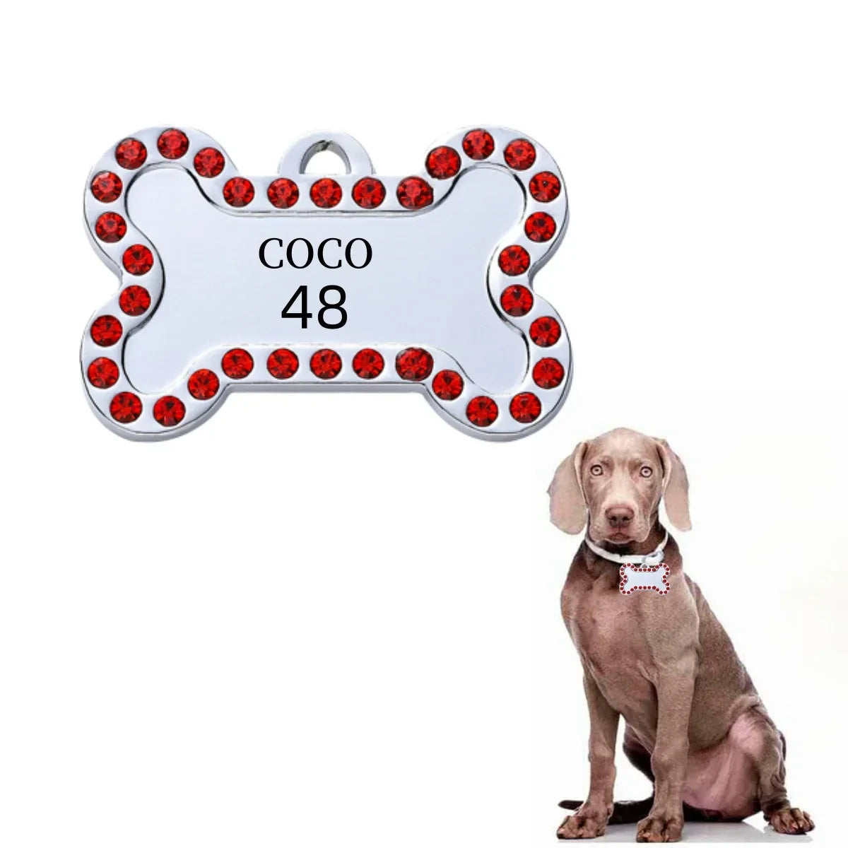 VIP Customizable Engraved Pets ID Tag for Dog Cat Bronze Nameplate Tags Personalized Address Number Dogs Collar ID Pendant - Luvia