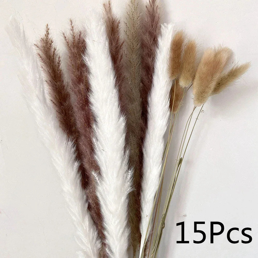 Pampas Grass Phragmites Reed Dried Natural Flowers Bouquet Arrangement Wedding Party Decor Decorations For Home Table - Luvia