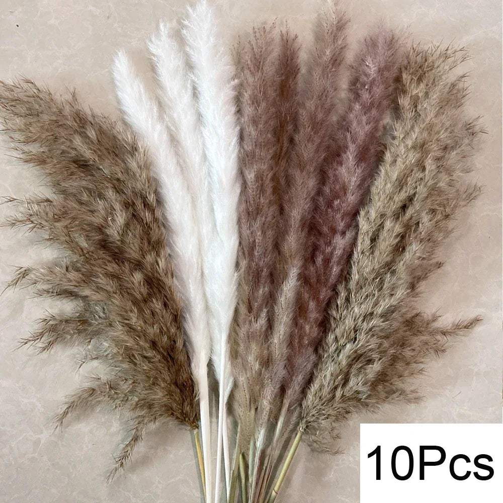 Pampas Grass Phragmites Reed Dried Natural Flowers Bouquet Arrangement Wedding Party Decor Decorations For Home Table - Luvia