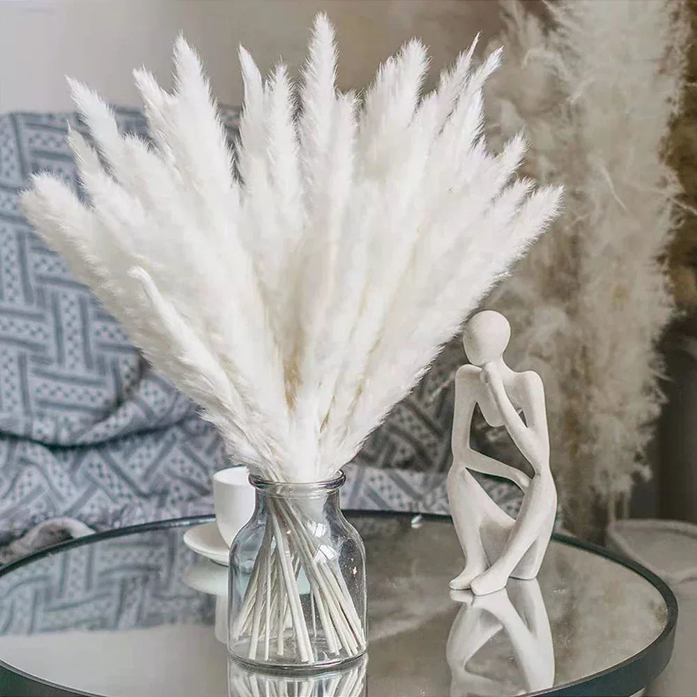 Pampas Grass Phragmites Reed Dried Natural Flowers Bouquet Arrangement Wedding Party Decor Decorations For Home Table - Luvia