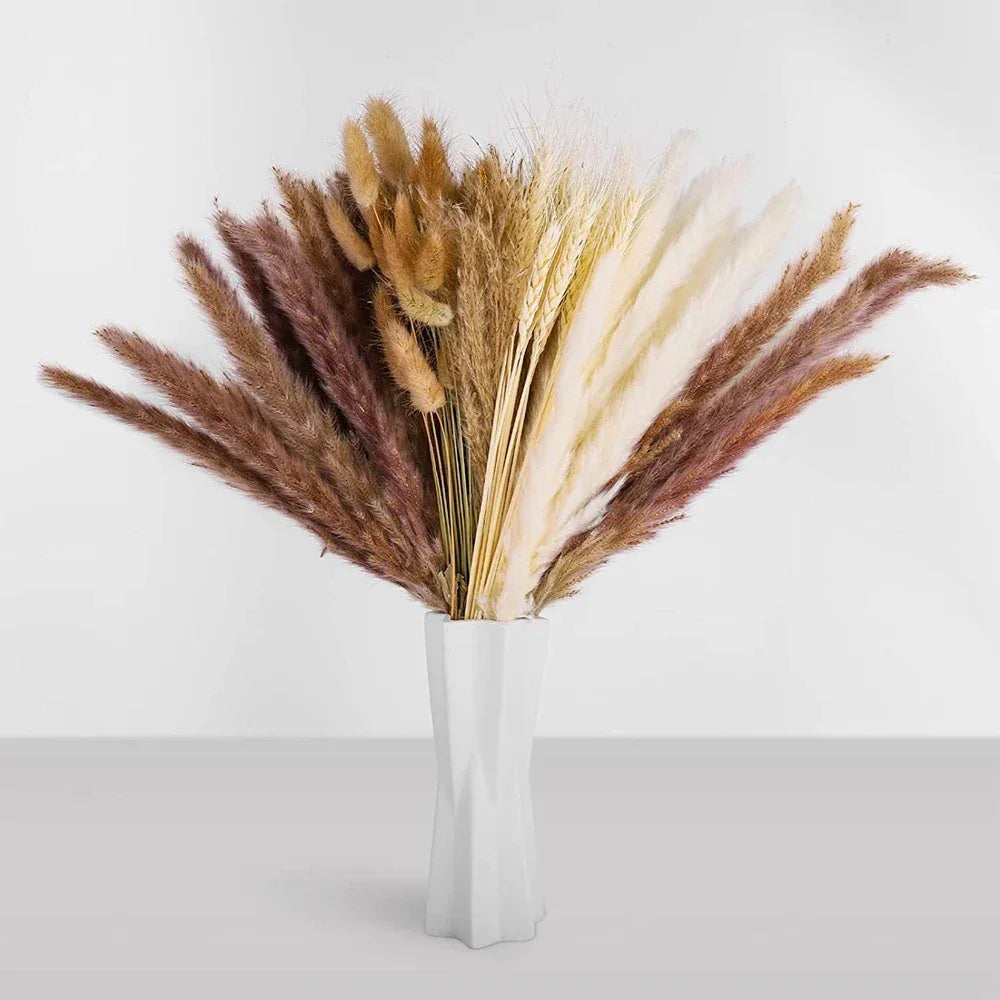 Pampas Grass Phragmites Reed Dried Natural Flowers Bouquet Arrangement Wedding Party Decor Decorations For Home Table - Luvia