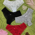 4 Pcs Women's Elegant Sheer Jacquard Lace Bikini Panties, Mid Stretch Low Waist Panties, Women's Lingerie & Underwear - Luvia